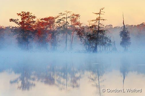 Misty Lake Martin At Sunrise_25742.jpg - Photographed at the Cypress Island Preserve near Breaux Bridge, Louisiana, USA.